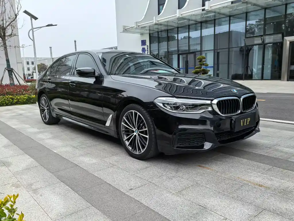 BMW 5 Series 2020 530Li Luxury M Sport Package