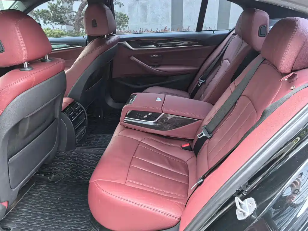 BMW 5 Series 2020 530Li Luxury M Sport Package