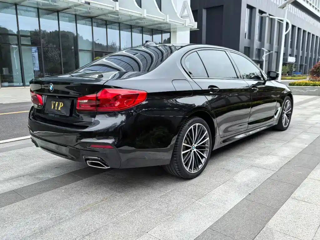 BMW 5 Series 2020 530Li Luxury M Sport Package