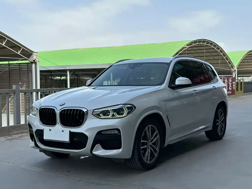 BMW X3 2018 xDrive30i Leading Edition M Sport Package China V