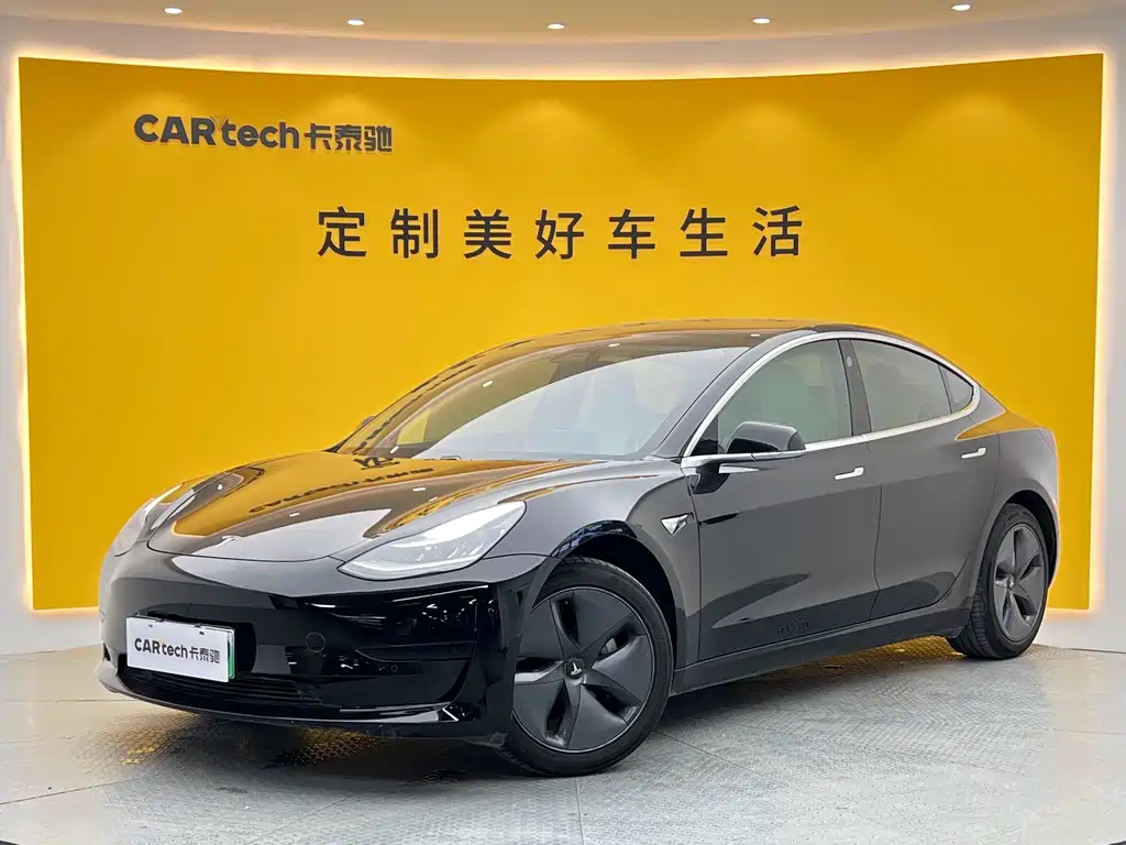 Model 3 2020 Standard Range Plus RWD