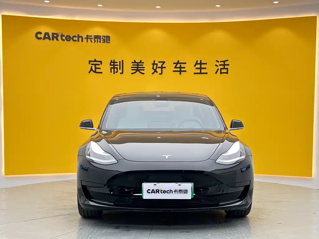 Model 3 2020 Standard Range Plus RWD