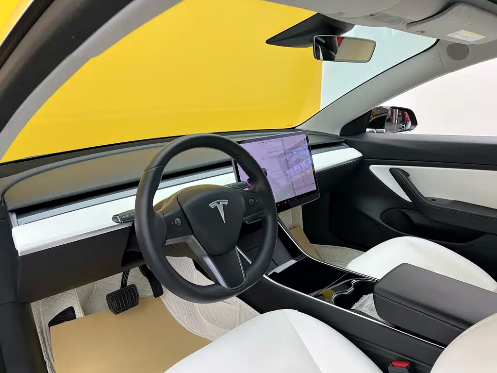 Model 3 2020 Standard Range Plus RWD