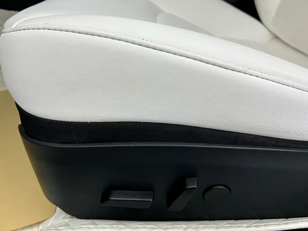 Model 3 2020 Standard Range Plus RWD