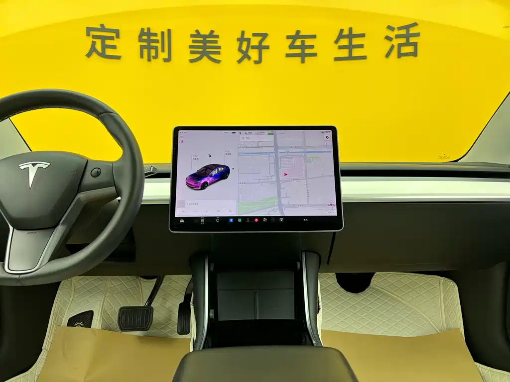 Model 3 2020 Standard Range Plus RWD