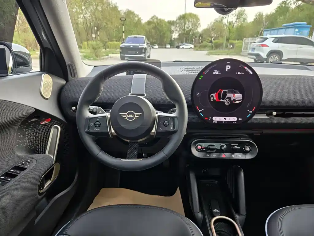 MINI ACEMAN 2025 SE Artist