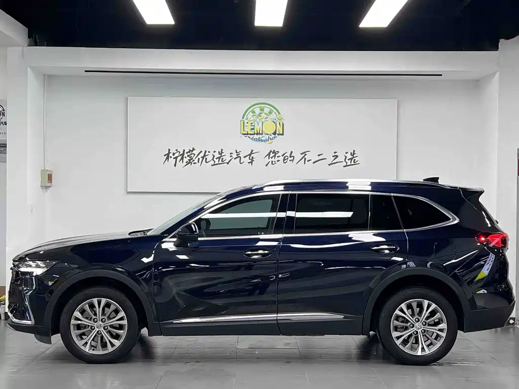 Buick Envision Plus 2021 2.0T Luxury