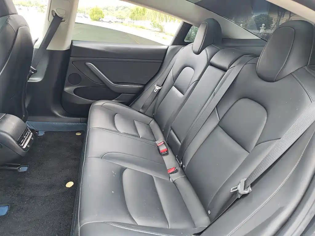 Tesla Model 3 2022 Rear-Wheel Drive
