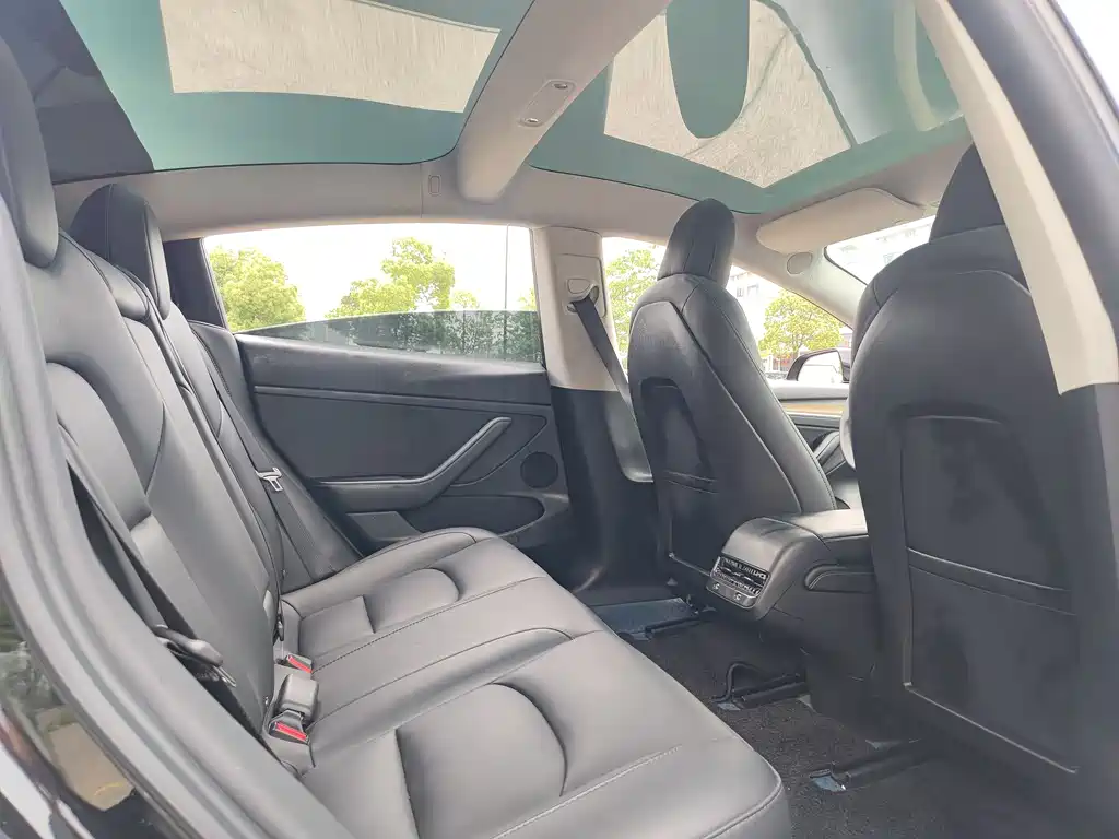 Tesla Model 3 2022 Rear-Wheel Drive
