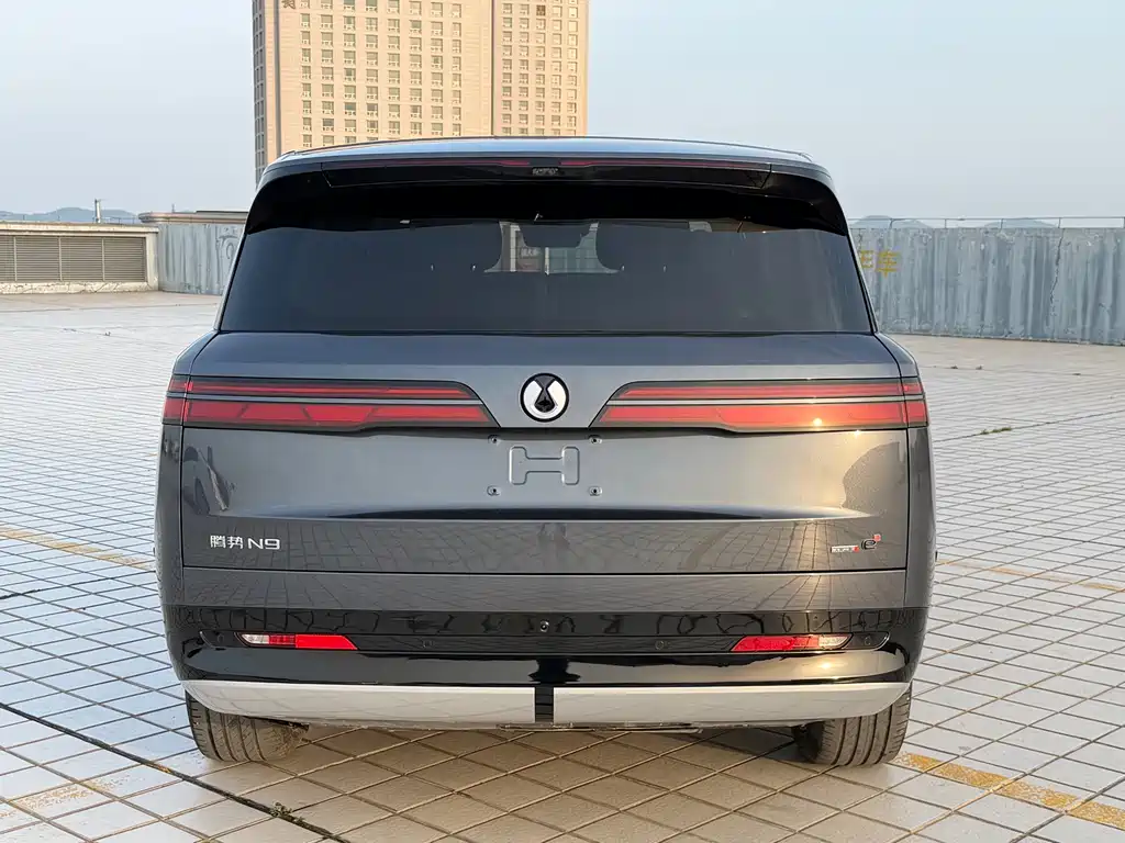 Denza N9 2025 Premium