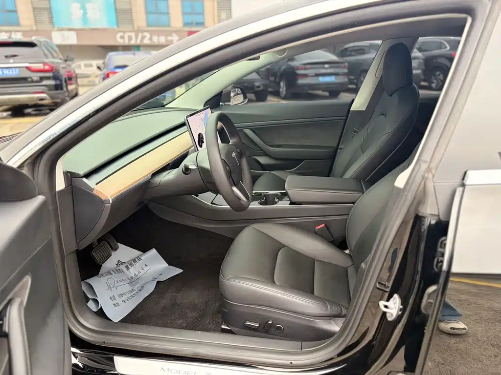 Tesla Model 3 2021 Standard Range Plus RWD