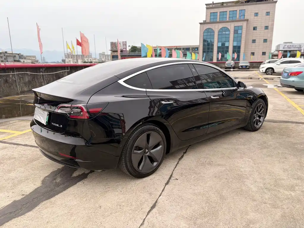 Tesla Model 3 2021 Standard Range Plus RWD