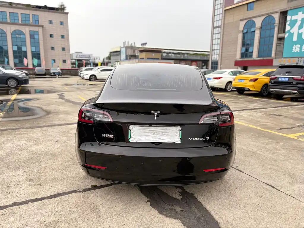Tesla Model 3 2021 Standard Range Plus RWD