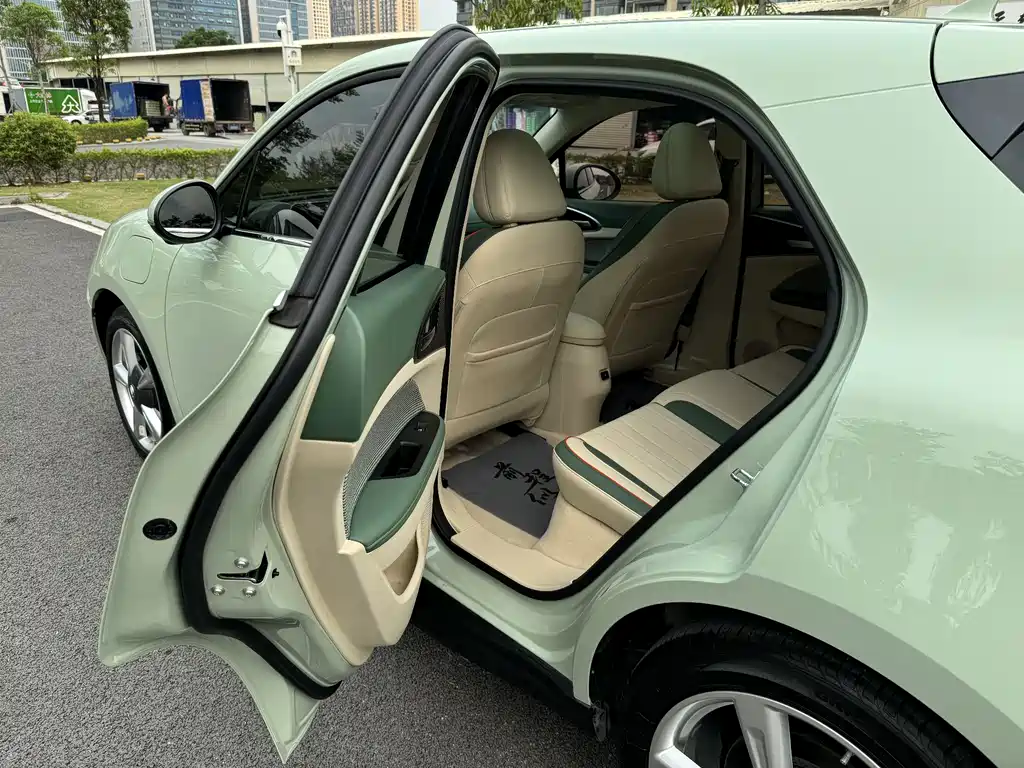 ORA Good Cat 2022 400km Standard Range Premium LFP