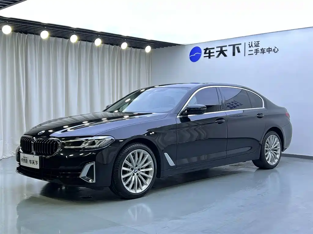 BMW 5 Series 2021 530Li xDrive Luxury Line