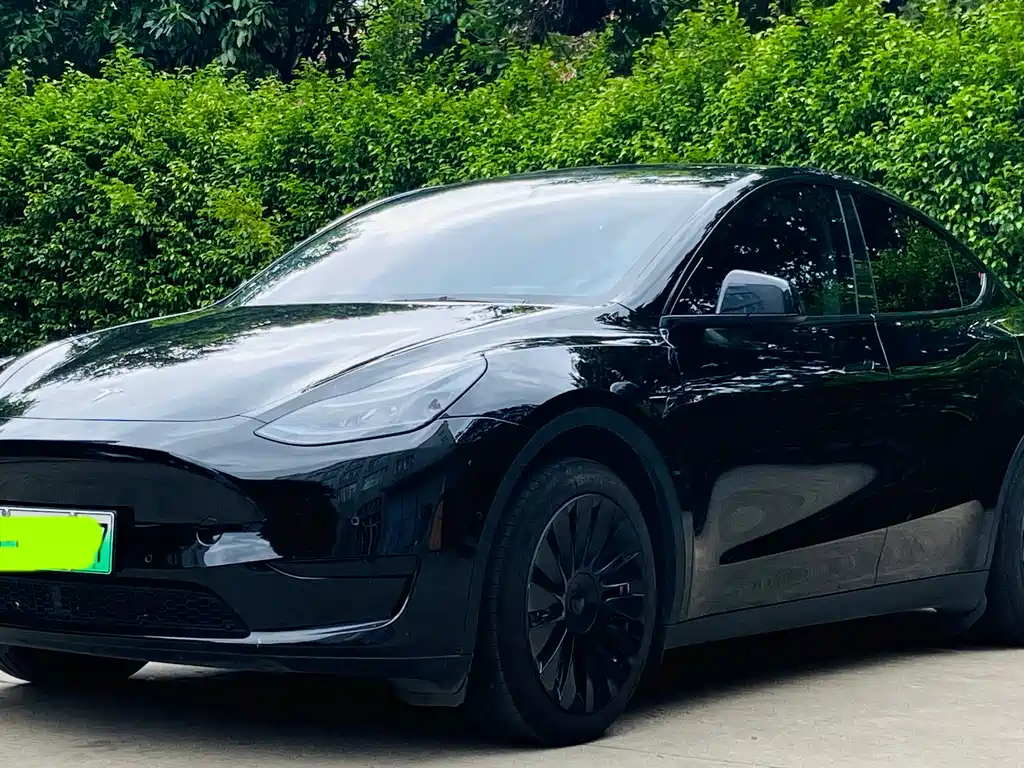 Tesla Model Y 2022 RWD