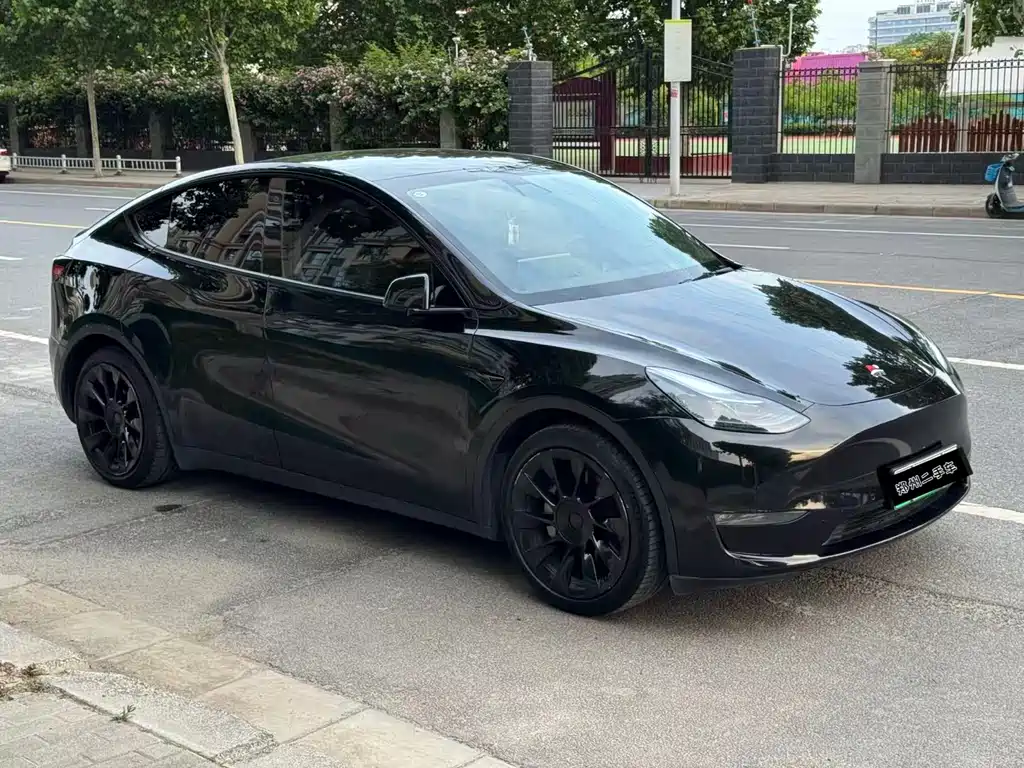 Model Y 2021 Standard Range Rear-Wheel Drive