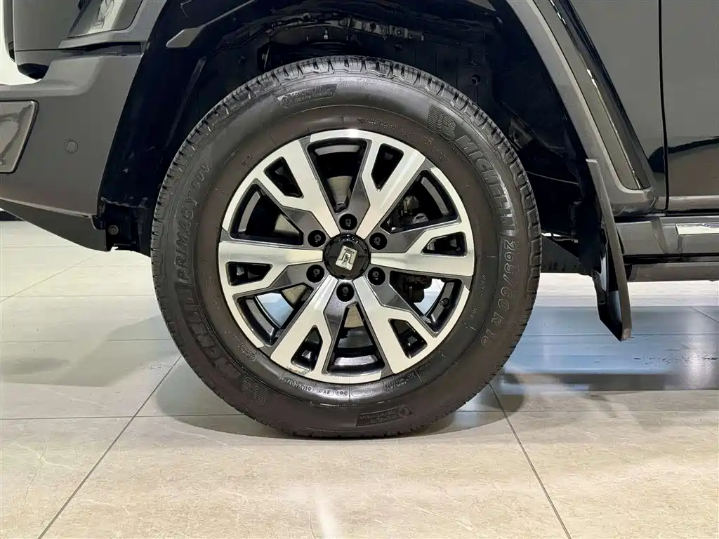 Tank 300 2023 City Edition 2.0T Stylish