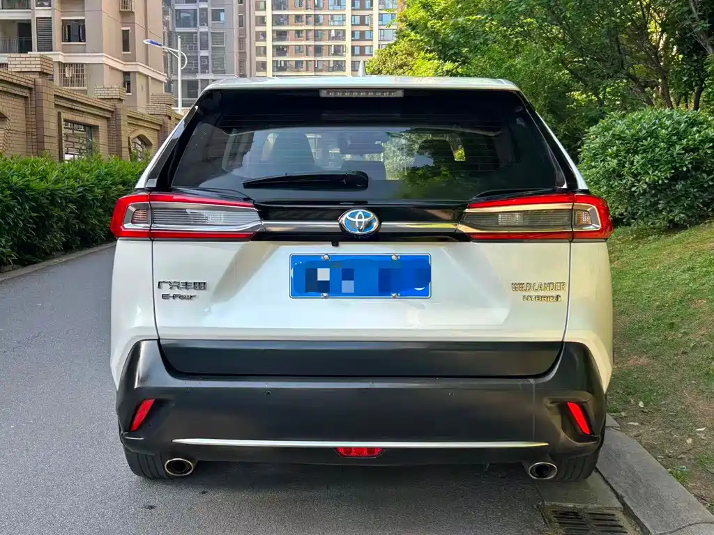 Toyota Wildlander 2020 Hybrid 2.5L E-CVT AWD Luxury Edition