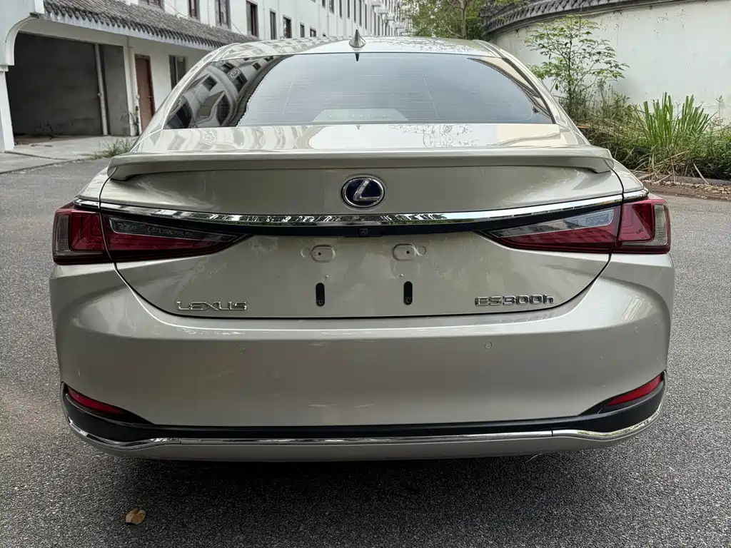 Lexus ES 2018 300h Executive Edition China V