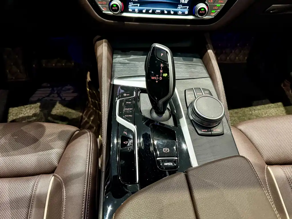 BMW 5 Series 2022 530Li Premium M Sport Package