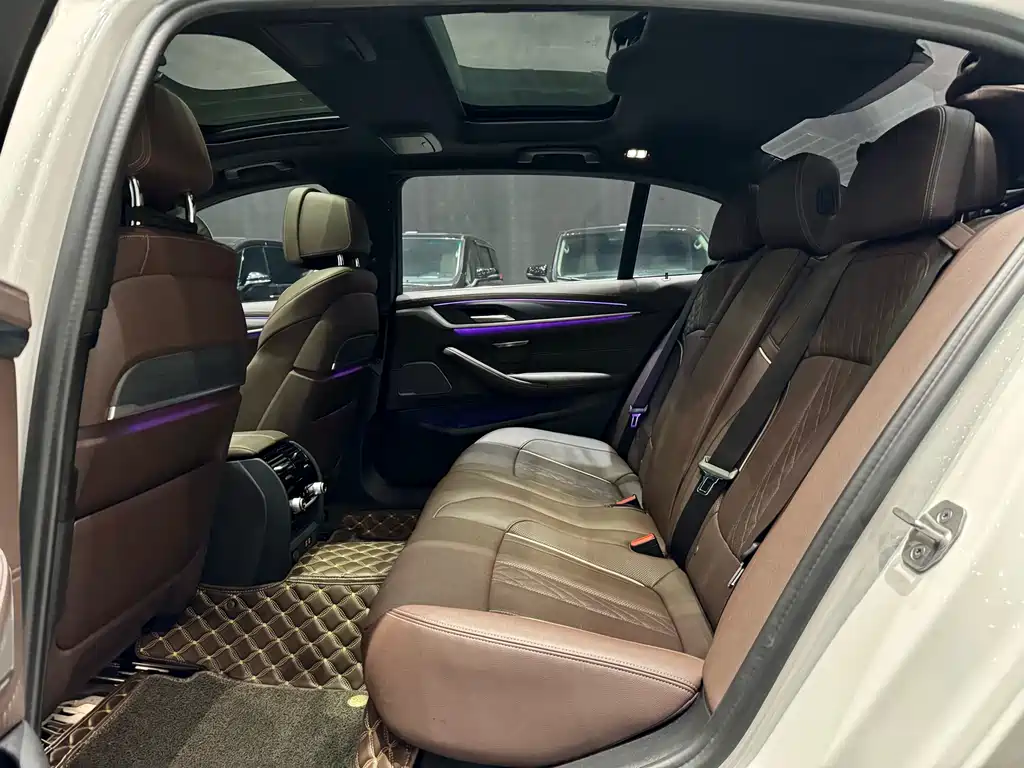 BMW 5 Series 2022 530Li Premium M Sport Package