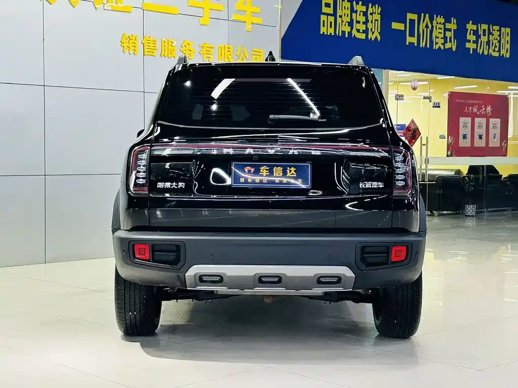 Haval Big Dog 2024 1.5T DCT Border Collie Edition