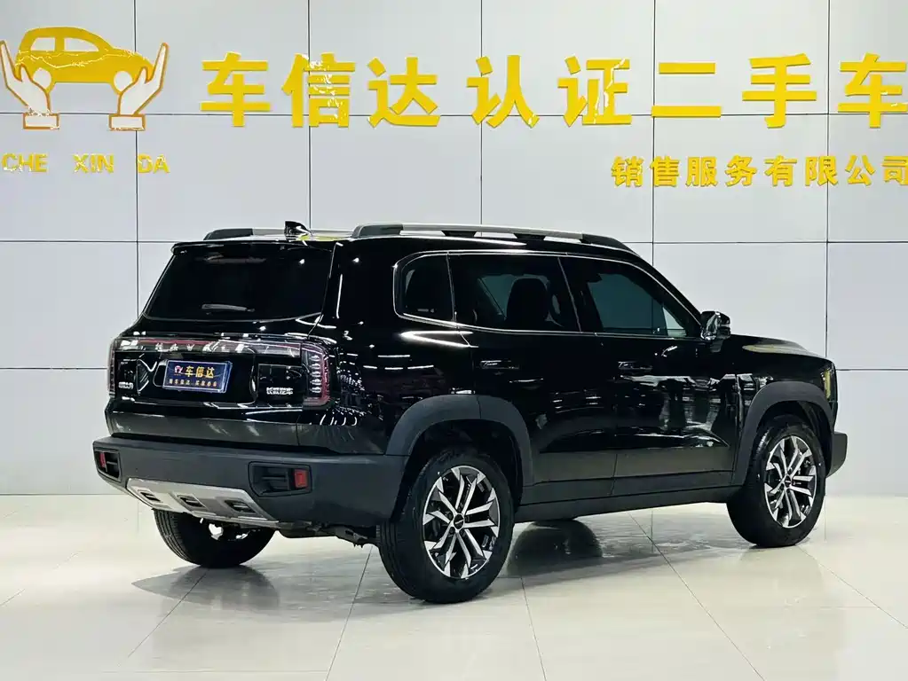 Haval Big Dog 2024 1.5T DCT Border Collie Edition