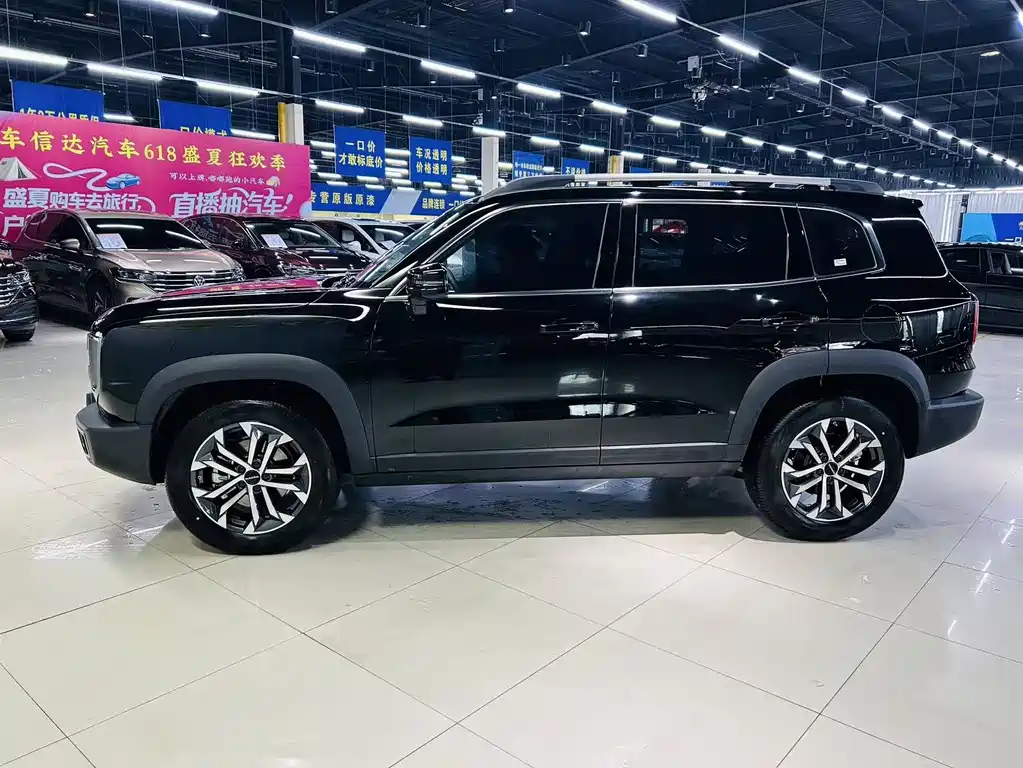 Haval Big Dog 2024 1.5T DCT Border Collie Edition