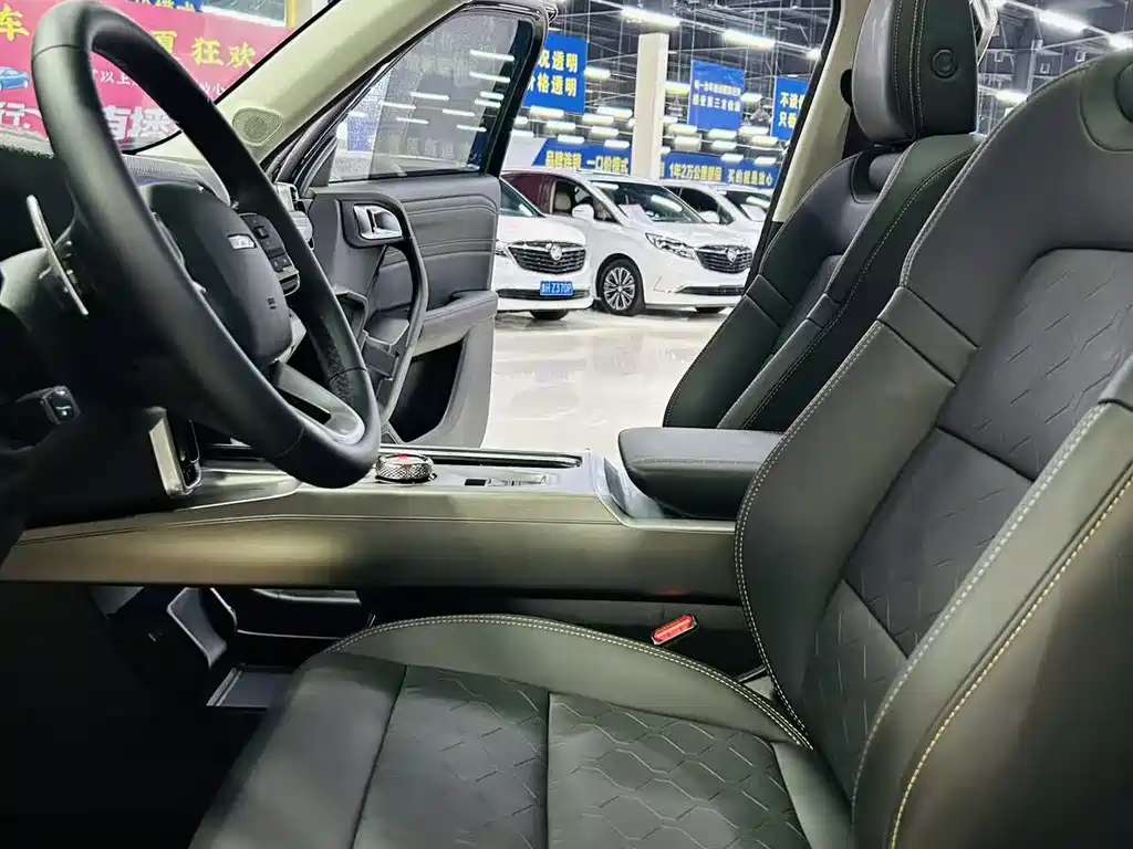 Haval Big Dog 2024 1.5T DCT Border Collie Edition