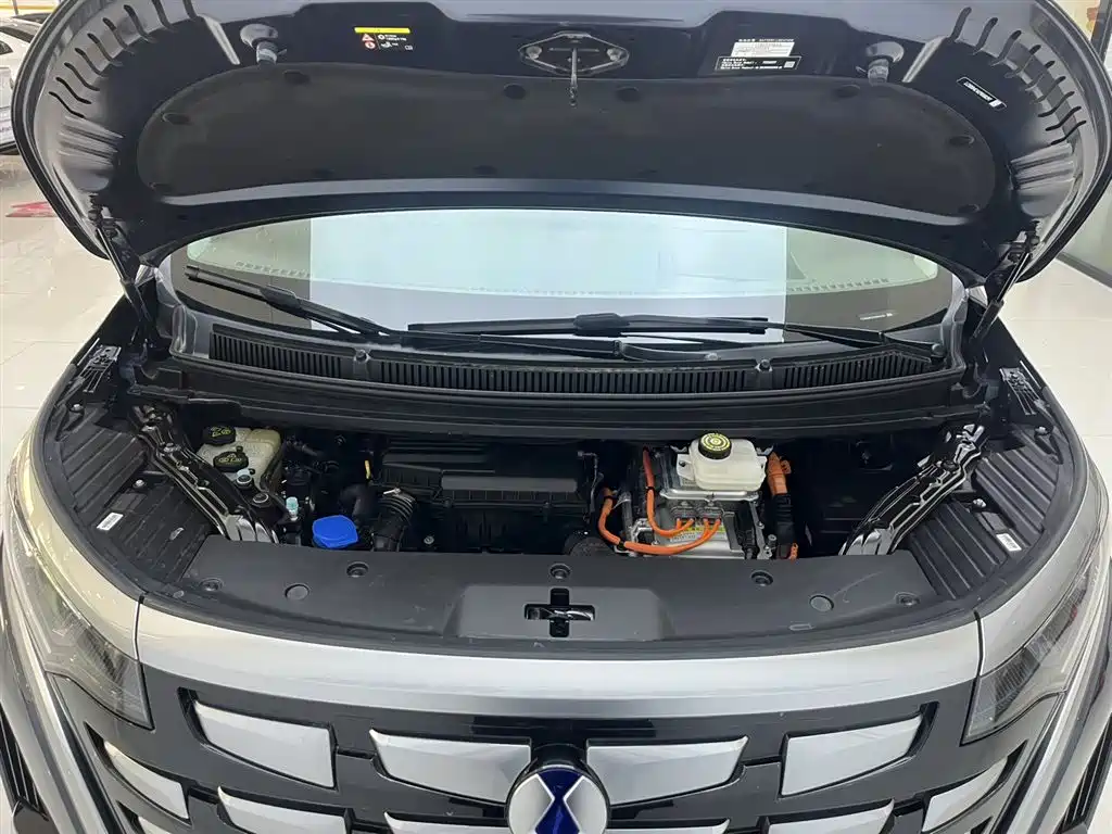 Denza D9 2022 DM-i 970 AWD Premium