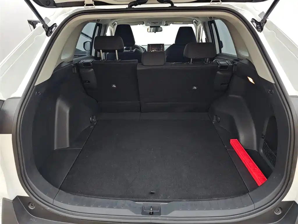 RAV4 2020 2.0L CVT 2WD Urban Edition