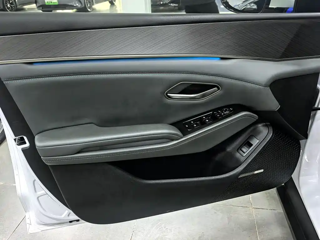 Qin L 2024 DM-i 120KM Excellence Edition