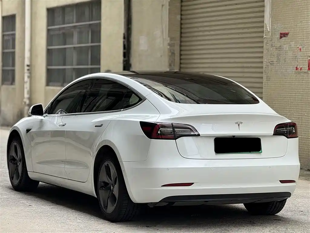 Model 3 2019 Standard Range Plus RWD
