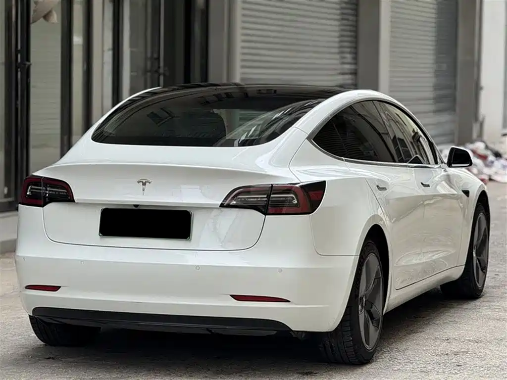 Model 3 2019 Standard Range Plus RWD
