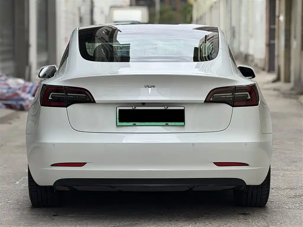 Model 3 2019 Standard Range Plus RWD