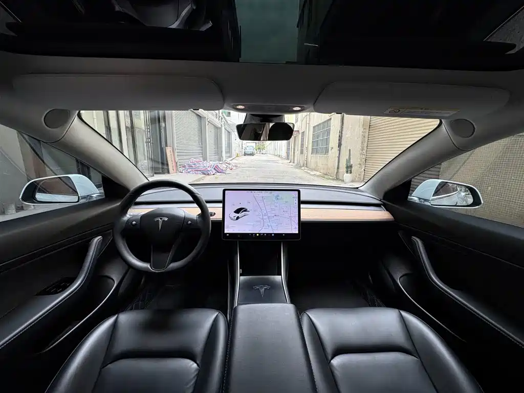 Model 3 2019 Standard Range Plus RWD