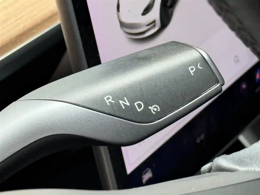 Model 3 2019 Standard Range Plus RWD