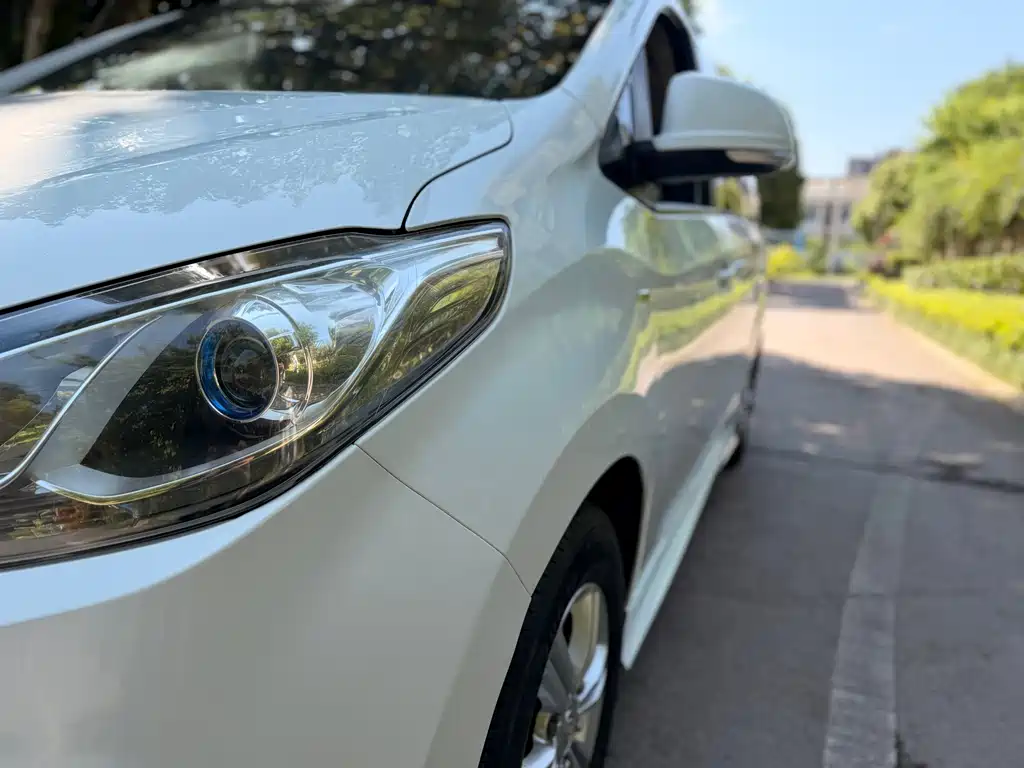 Maxus G10 2019 PLUS 2.0T Automatic Elite Edition China VI