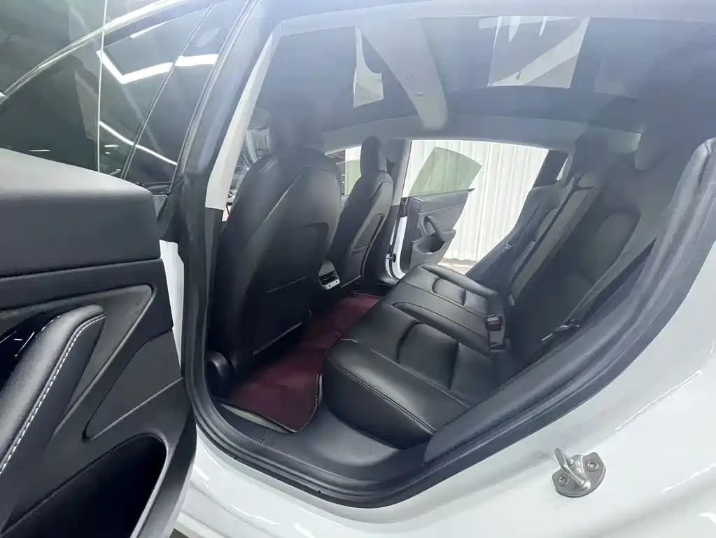 Model 3 2019 Standard Range Plus RWD