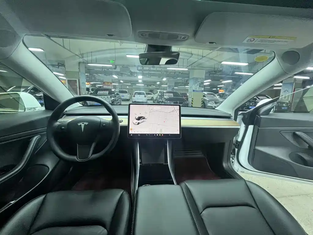 Model 3 2019 Standard Range Plus RWD
