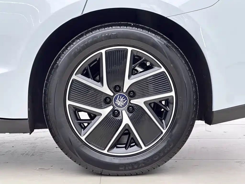 Qin L 2025 DM-i Smart Drive 120KM Leading