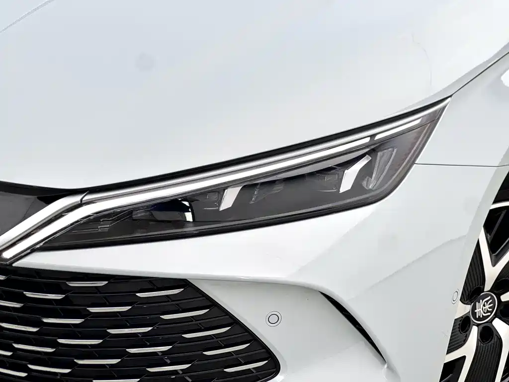 Qin L 2025 DM-i Smart Drive 120KM Leading