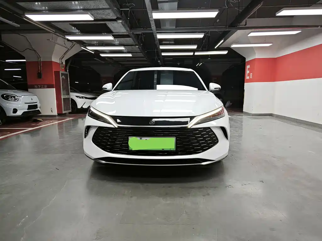 Qin L 2024 DM-i 80KM Leading Edition