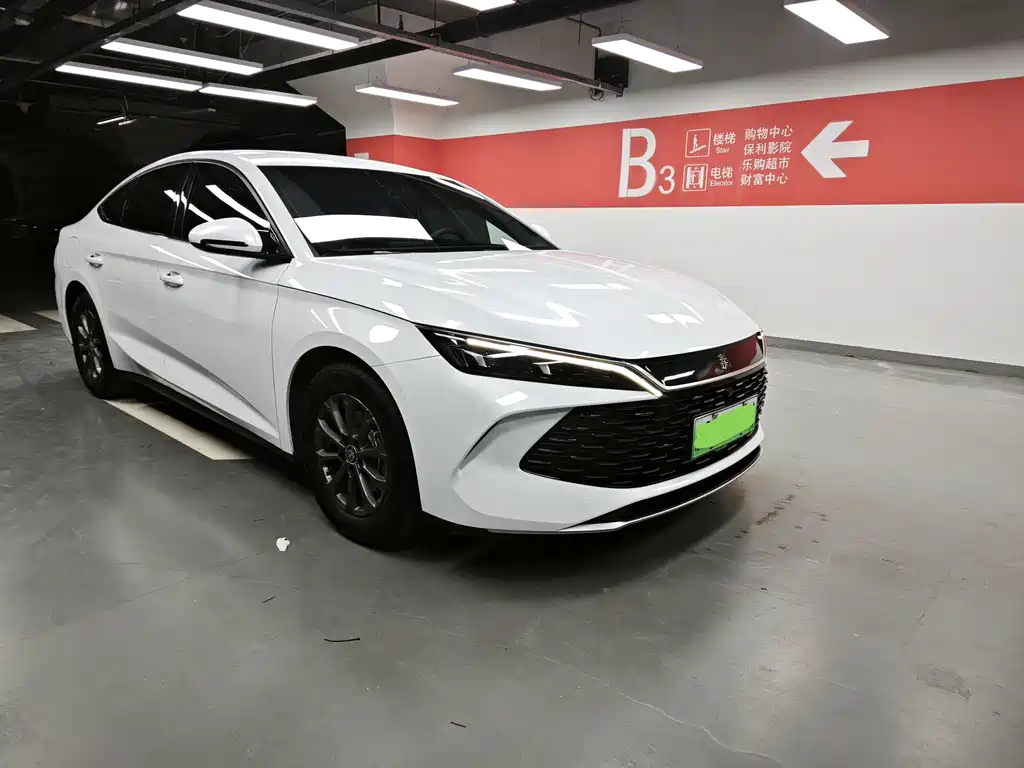 Qin L 2024 DM-i 80KM Leading Edition