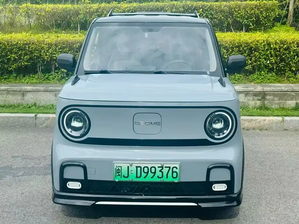 Geely Panda 2025 210km Panda Kart
