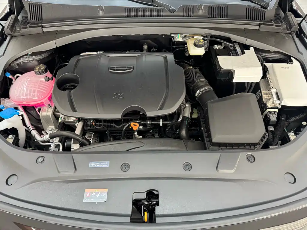 Geely Xingrui 2026 Dongfang Yao 1.5TD Fuyao Edition