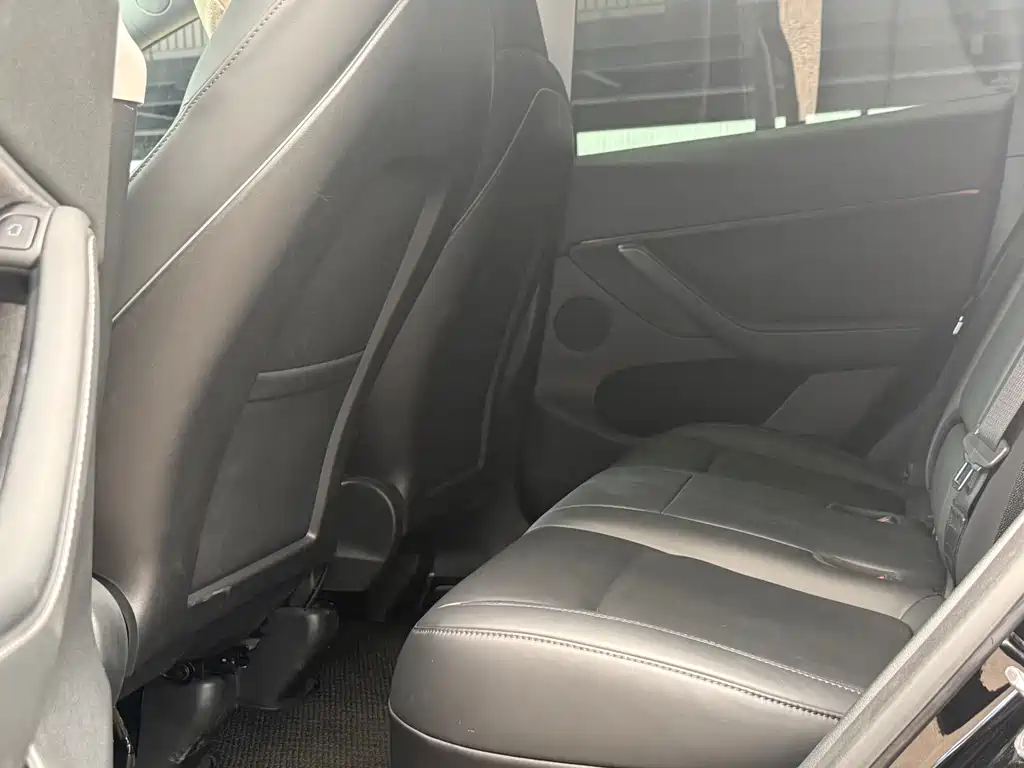 Model Y 2021 Standard Range RWD