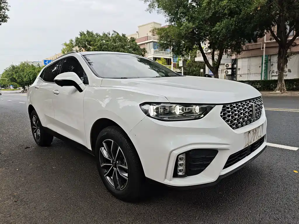 WEY VV5 2020 1.5T 2WD Zhi Xianfeng
