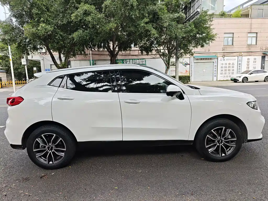 WEY VV5 2020 1.5T 2WD Zhi Xianfeng